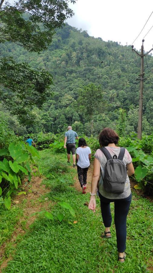 Vanilla County Heritage Plantation Bungalow Vagamon Extérieur photo