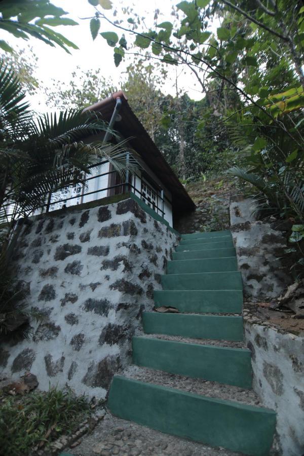 Vanilla County Heritage Plantation Bungalow Vagamon Extérieur photo